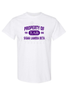 Sigma Lambda Beta Property of T-Shirt