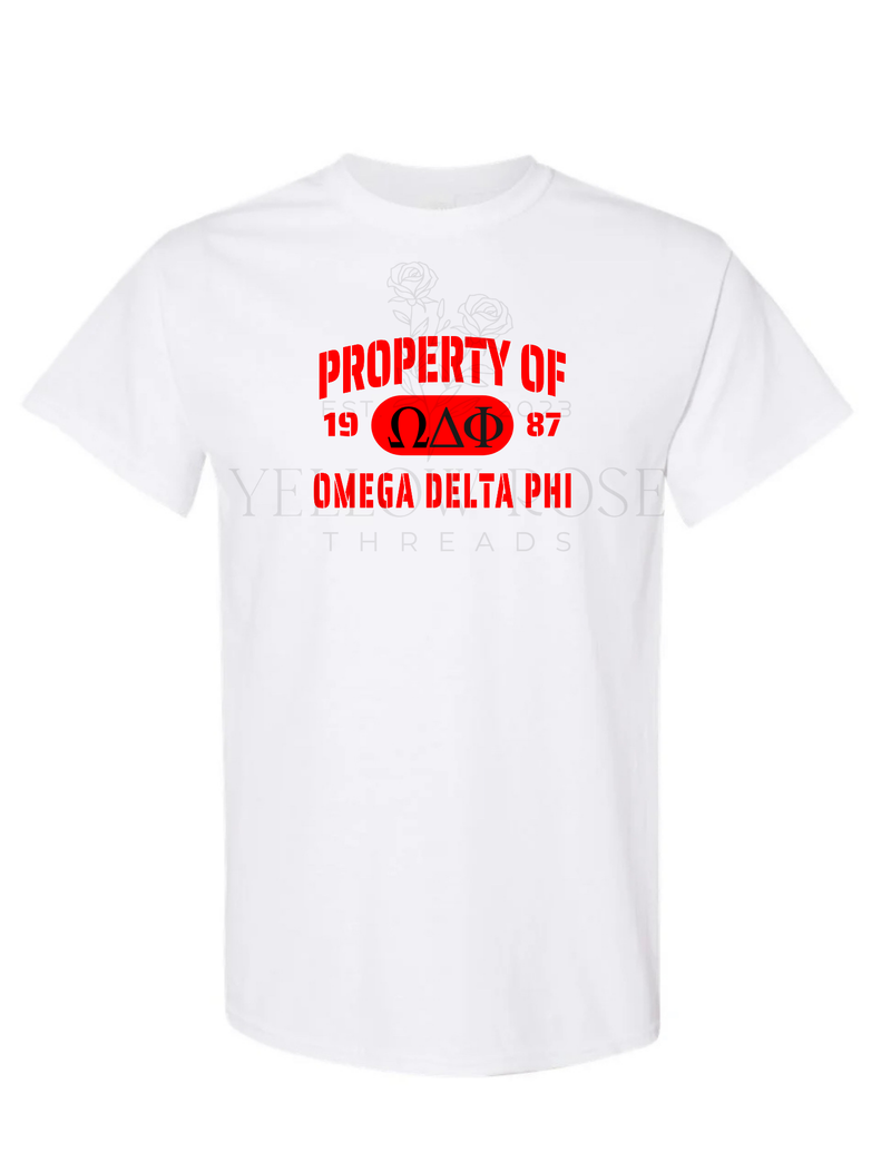 Omega Delta Phi Property of T-Shirt