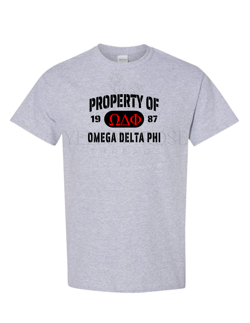 Omega Delta Phi Property of T-Shirt