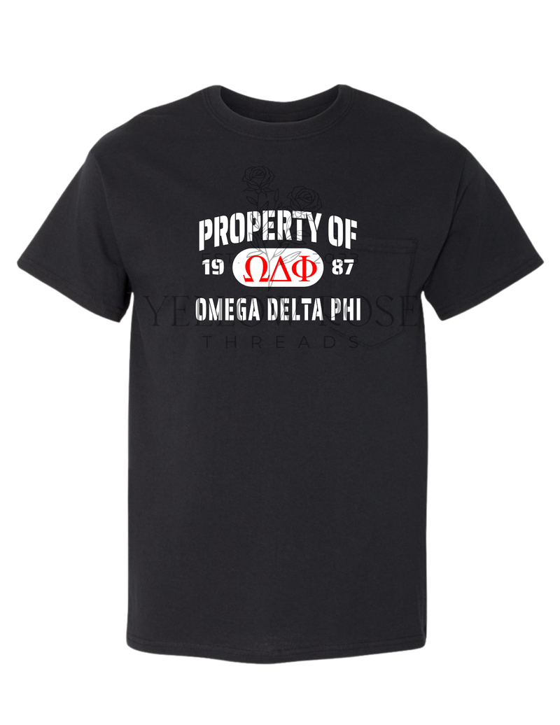 Omega Delta Phi Property of T-Shirt